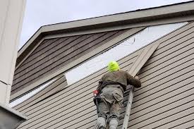 Affordable Siding Repair and Maintenance Services in Forest Lake, MN